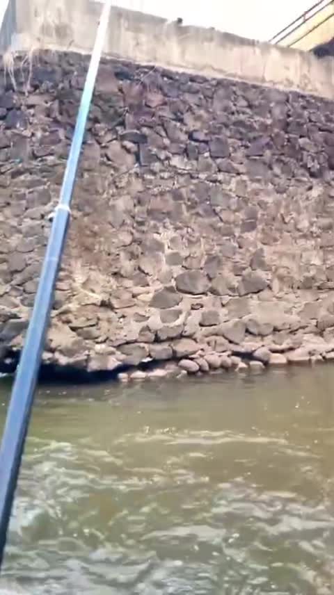 @Gasle Fishing