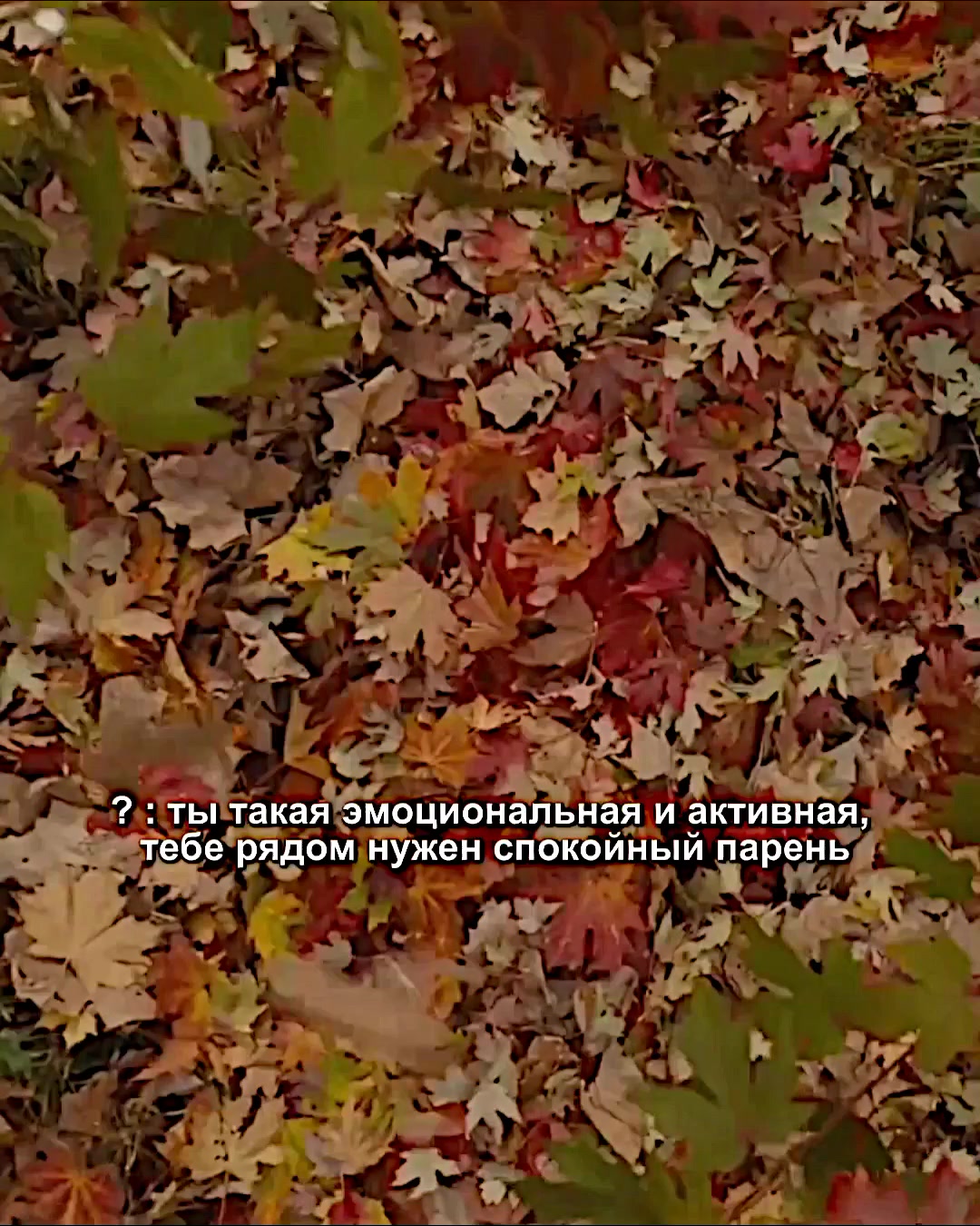 @фисташка:'