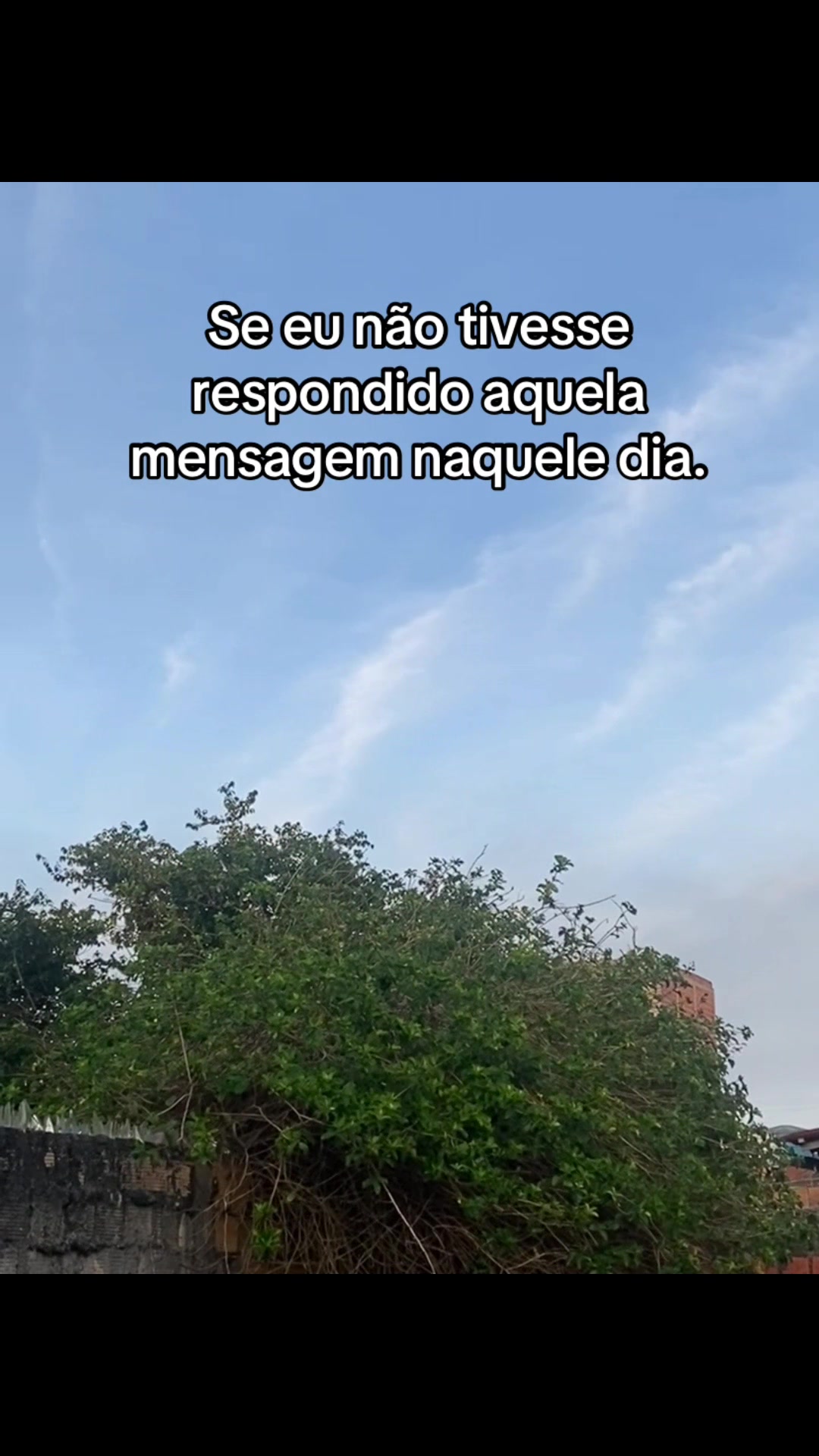 @Maira Silva