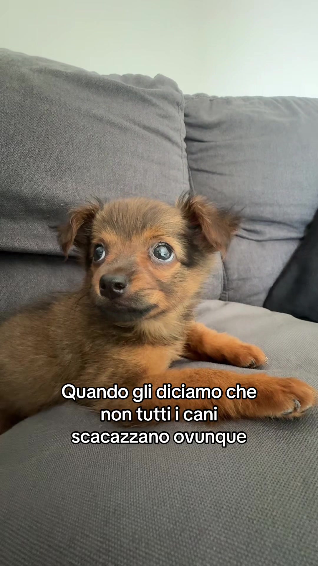 @Mena Stonem