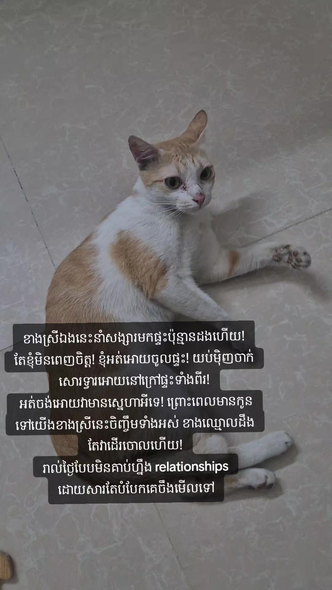 @Piseth Khloth