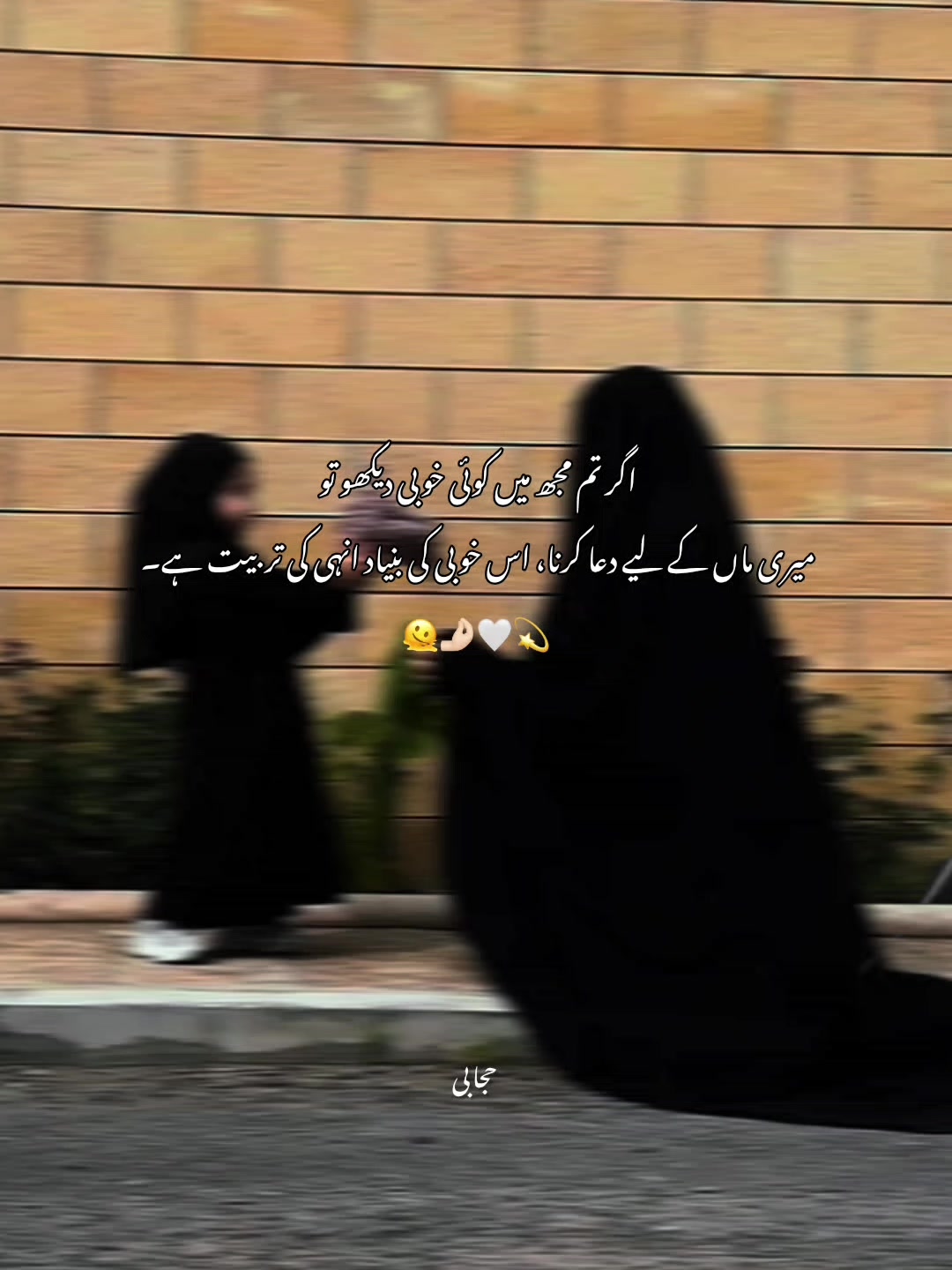 @⋆𐙚˚𝑯𝑰𝑱𝑨𝑩𝑰 𝑨𝑼𝑹𝑨ᯓᰔ