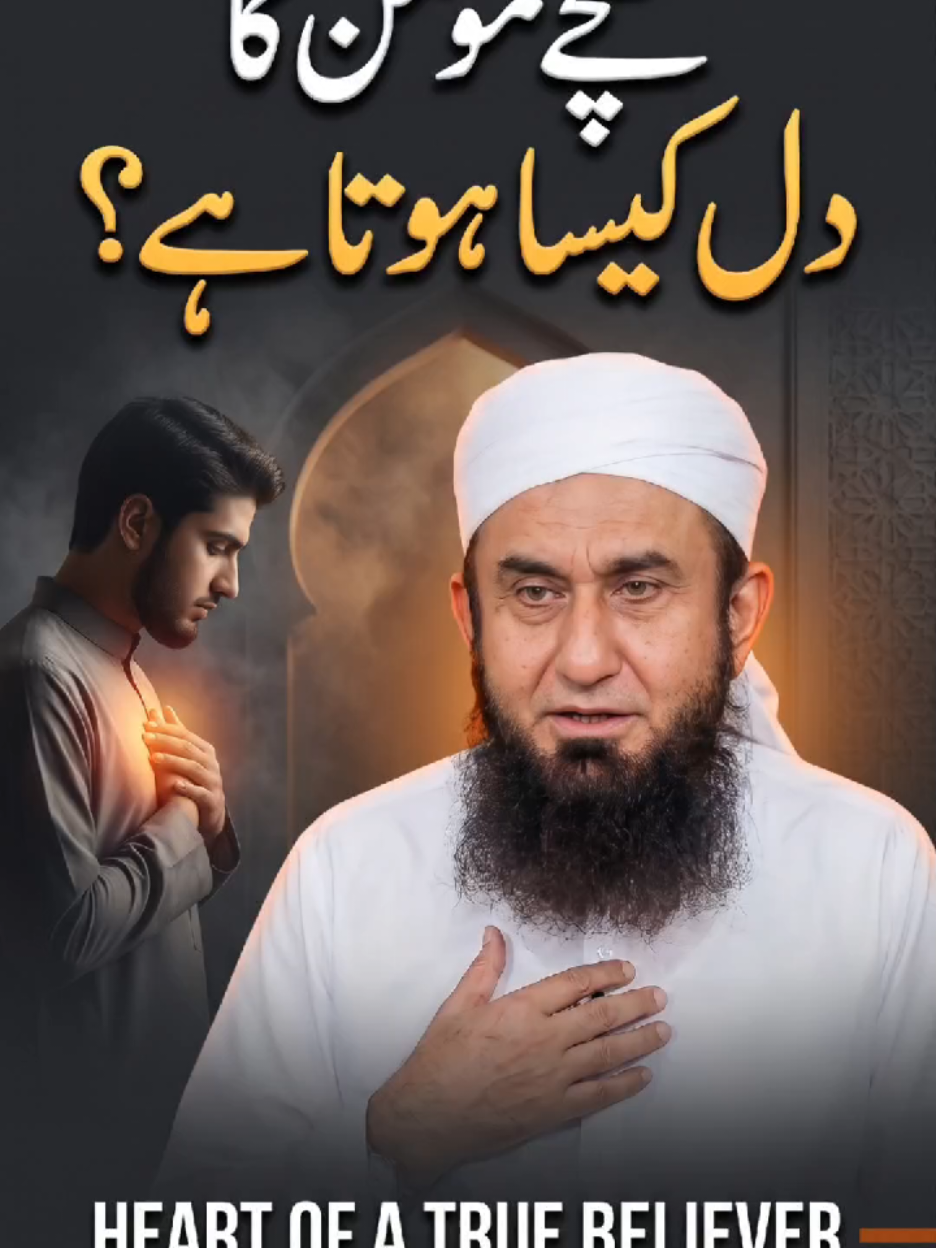 @Tariq Jamil | AJ Official