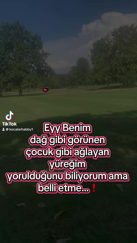 @Biricik Habby