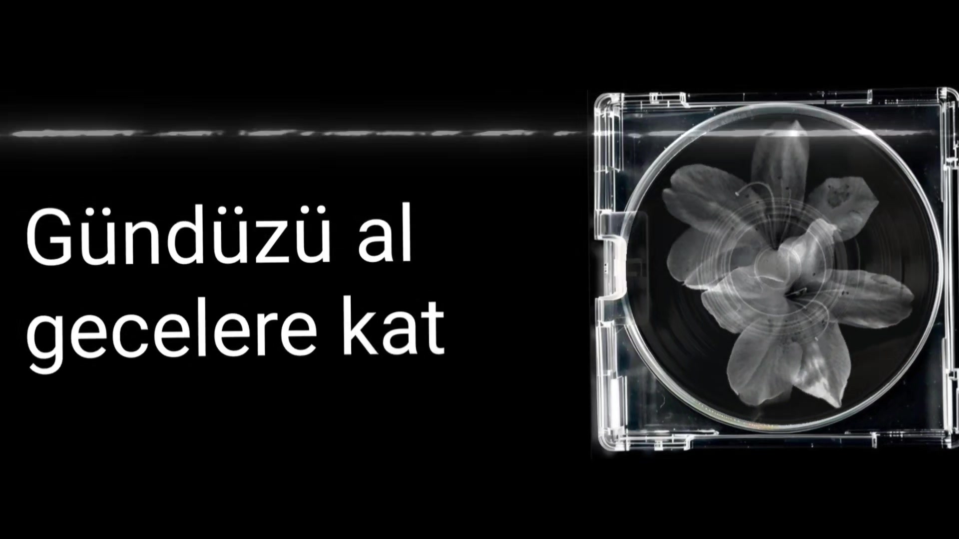 @Lyrics