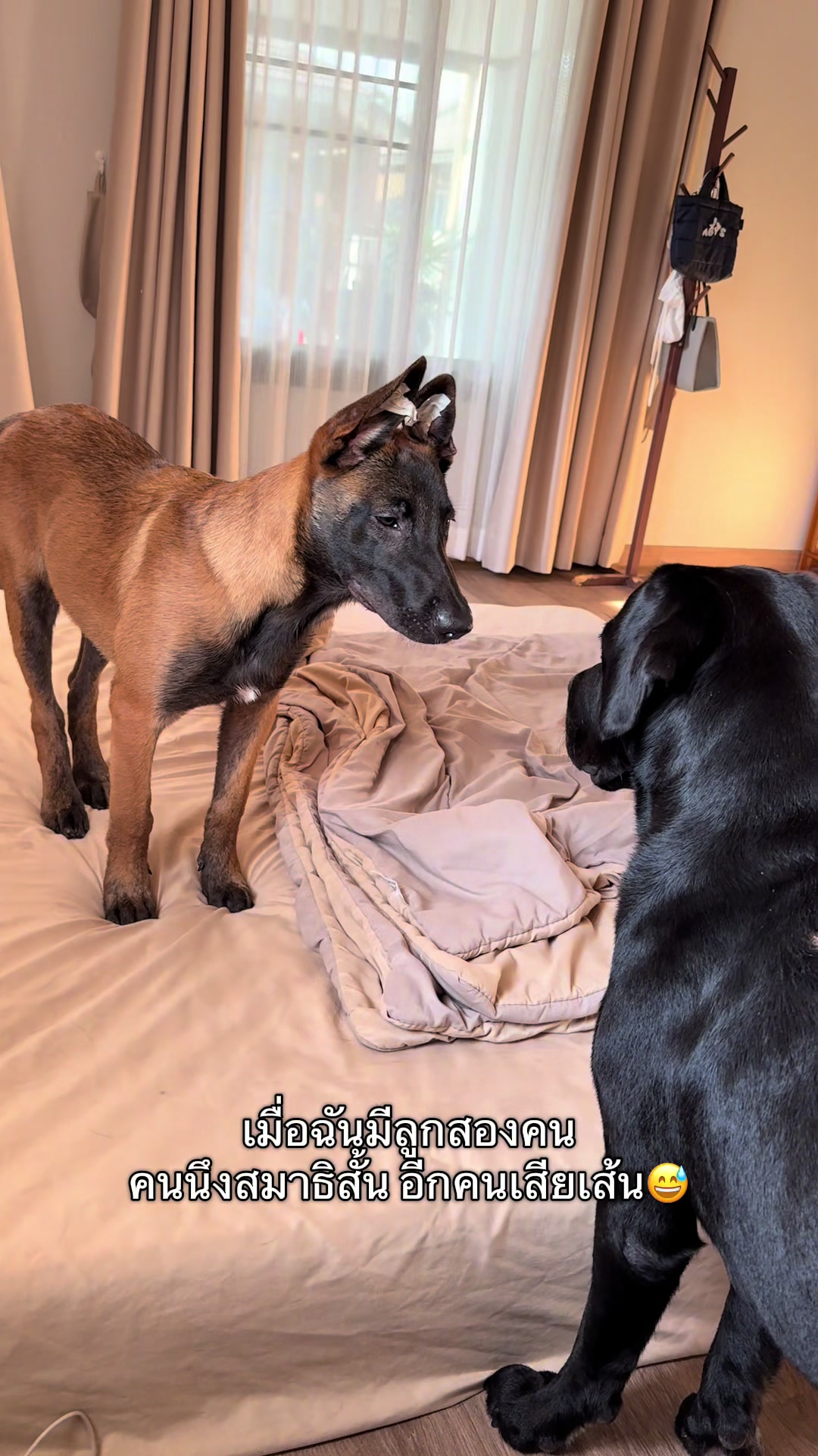 @พี่เรนเจอร์กับน้องเรนจี้