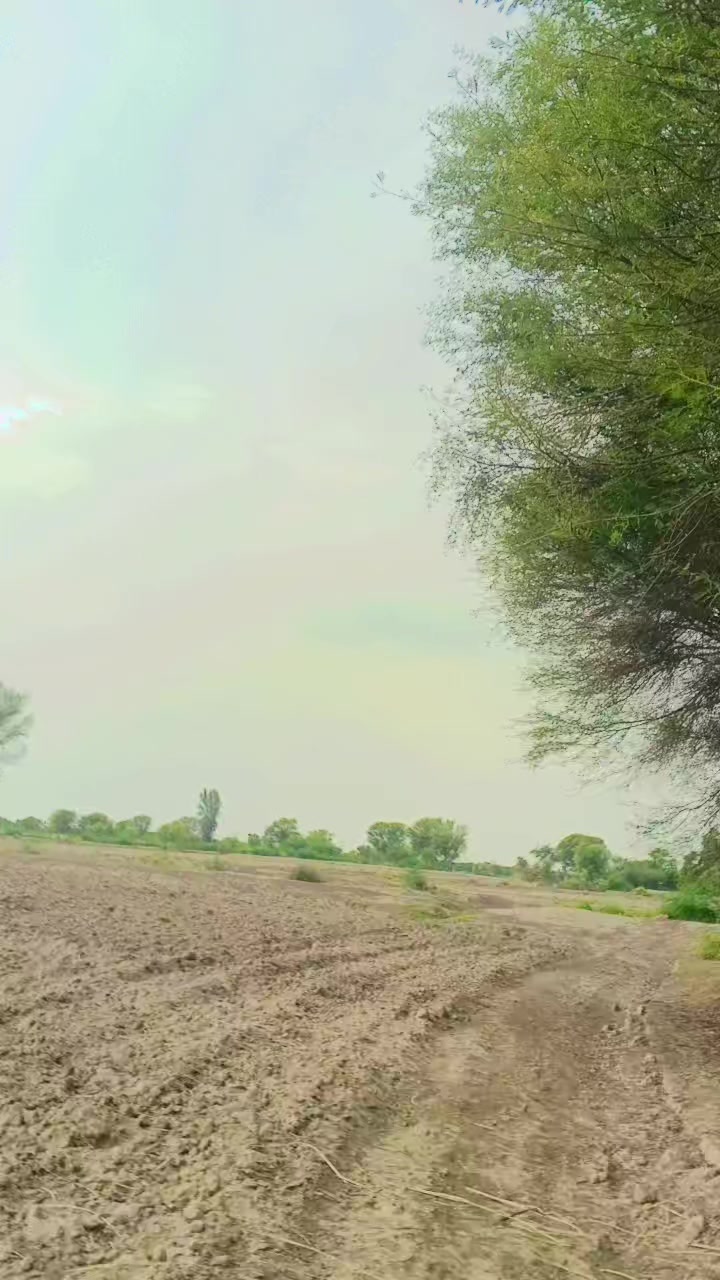 @لاڈلا بلوچ