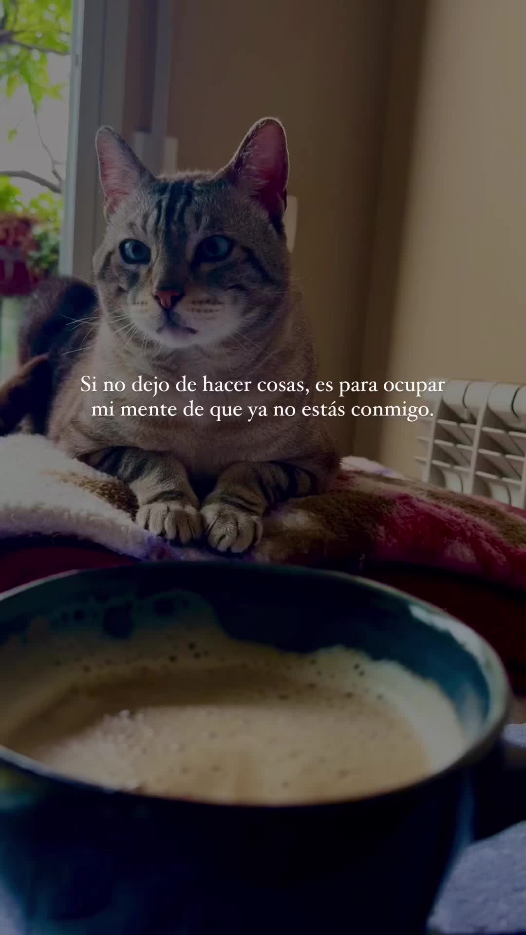 @_jijiyxs