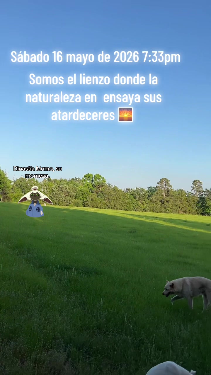 @AdrianWero fly