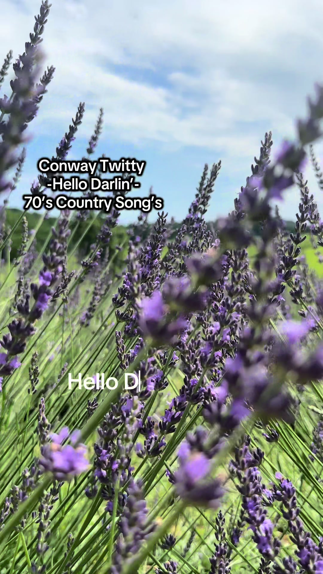 @naturesforestcore