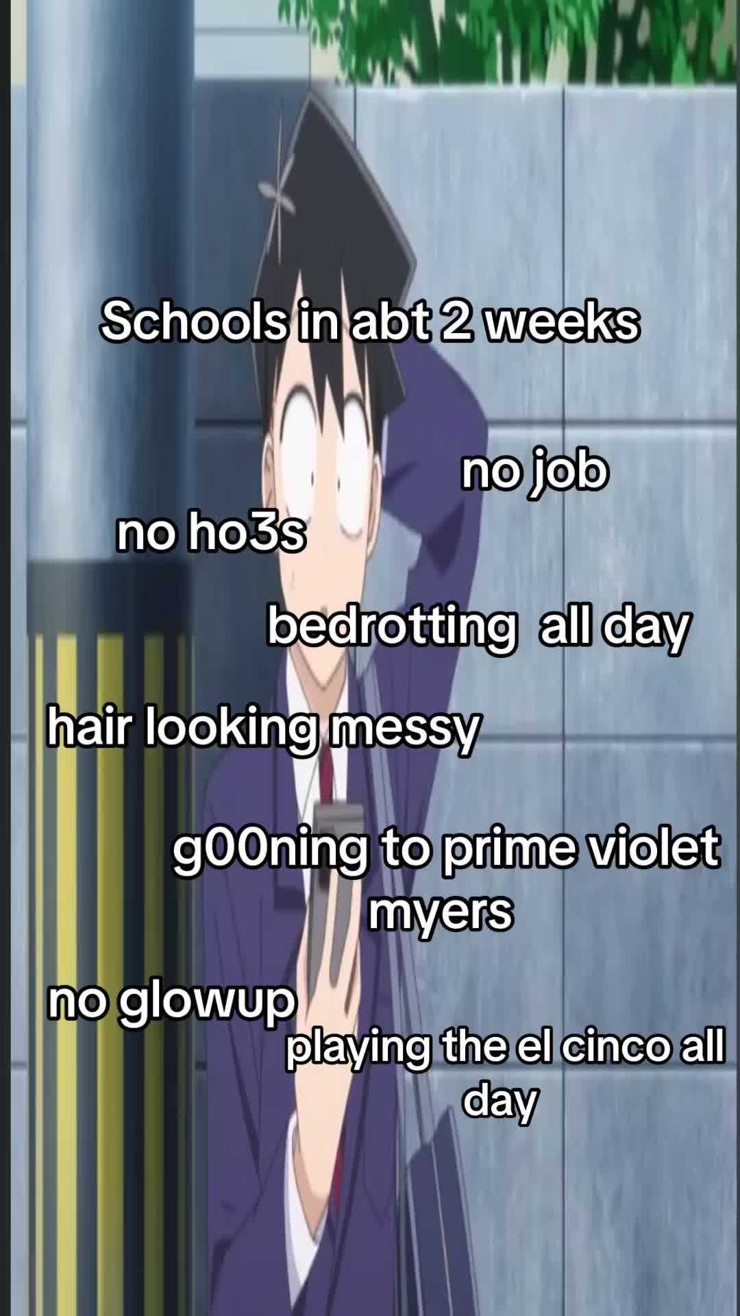 @vmont435