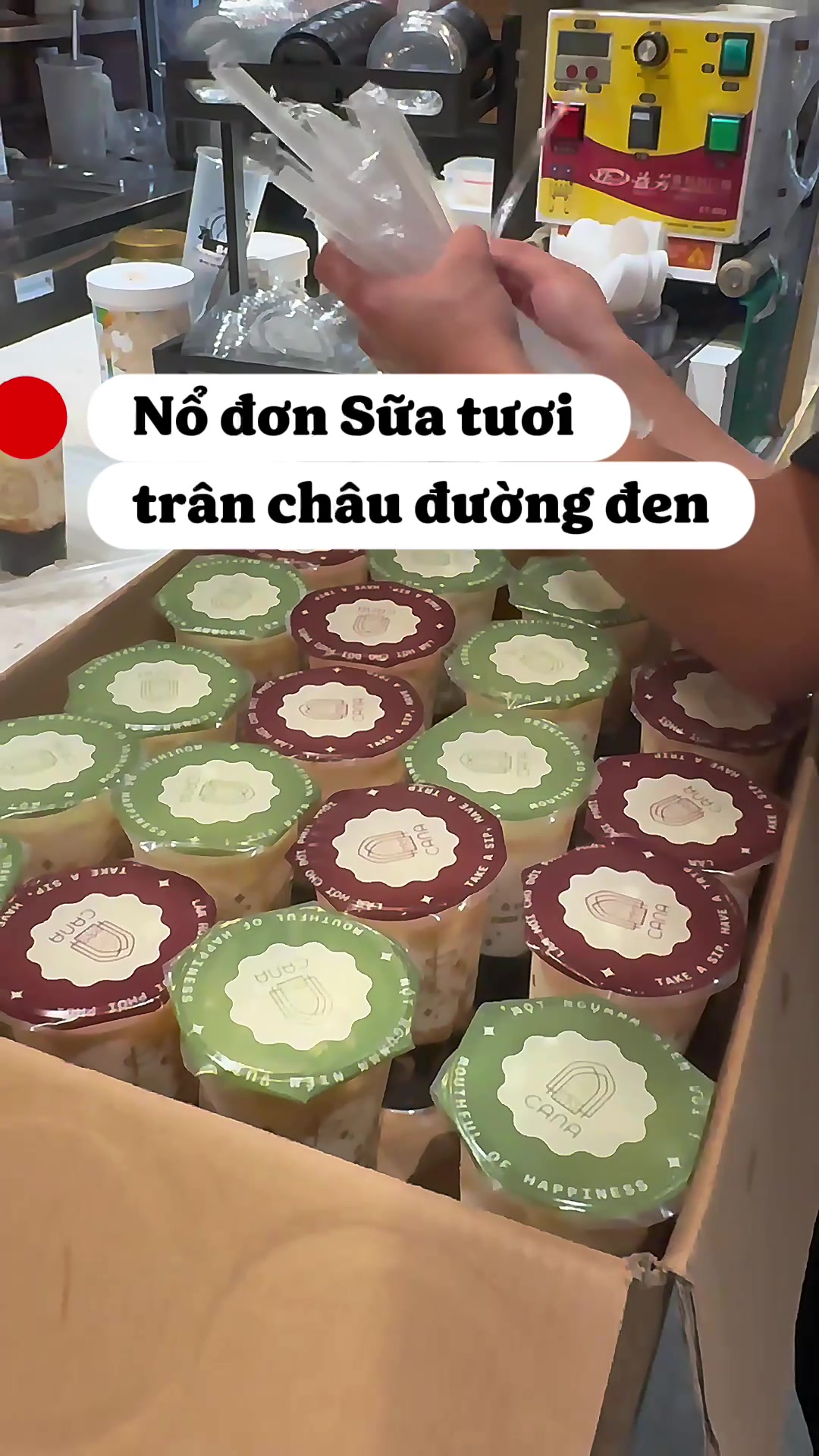 @CANA Nam Định