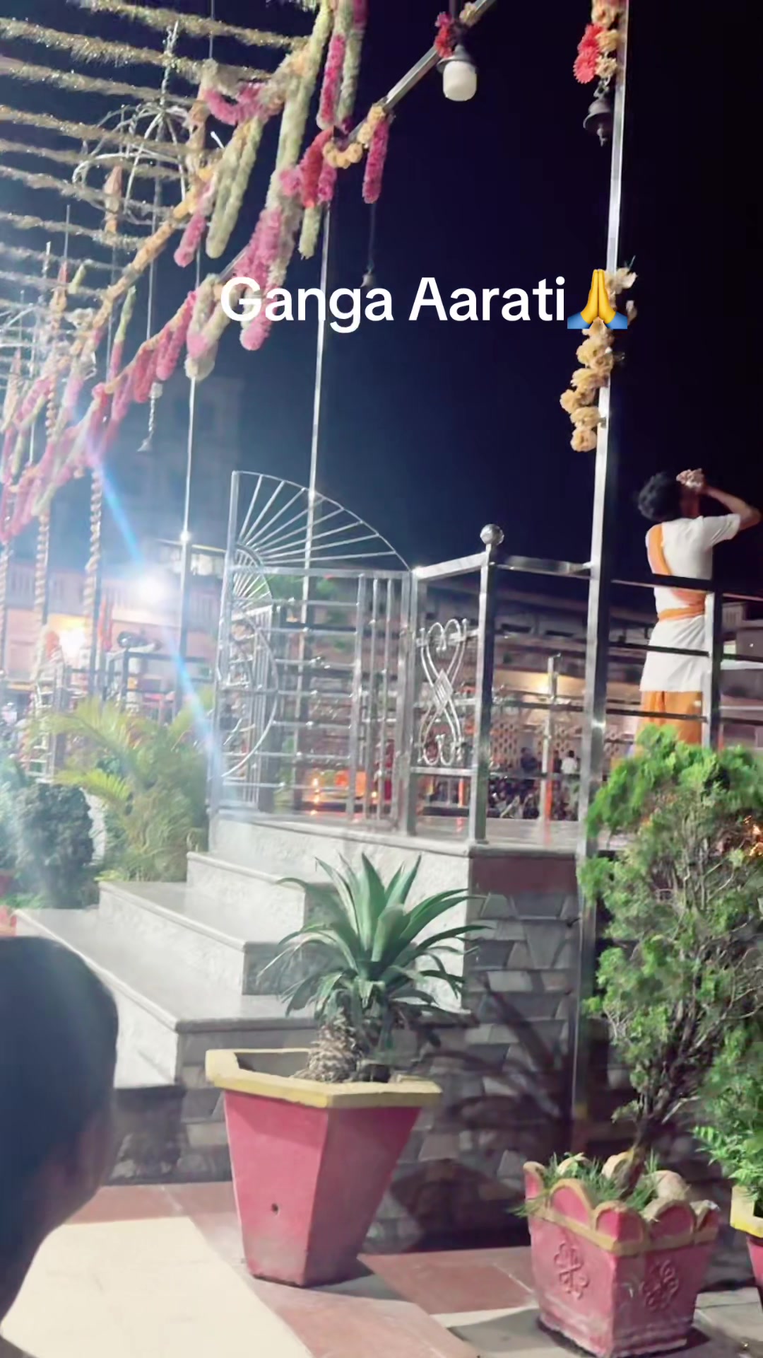 @hemlata🦋