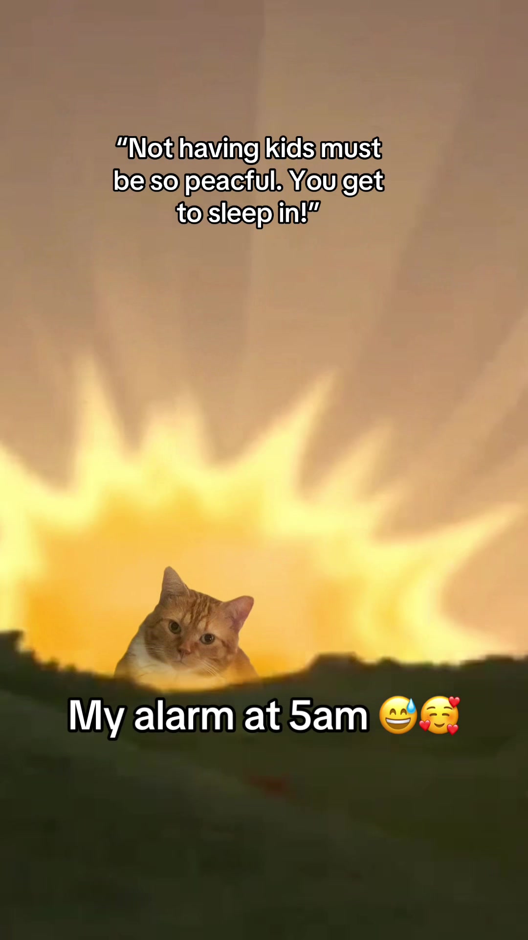 @Sampire
