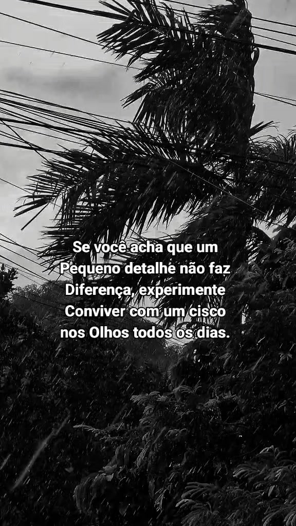 @frases aleatórias