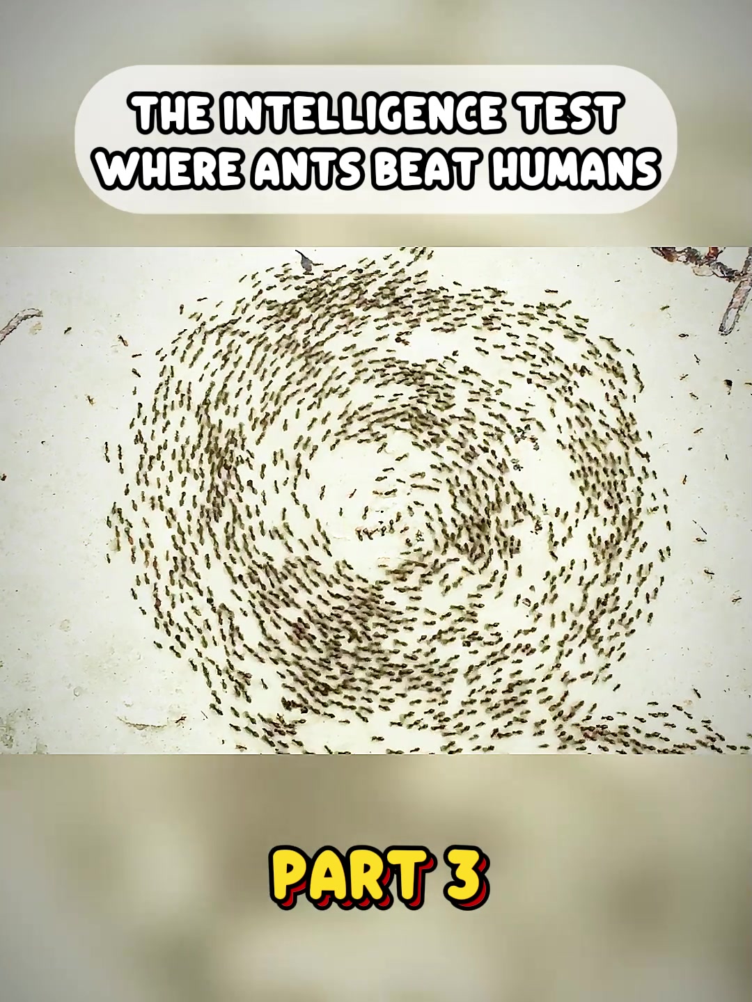 @Steven