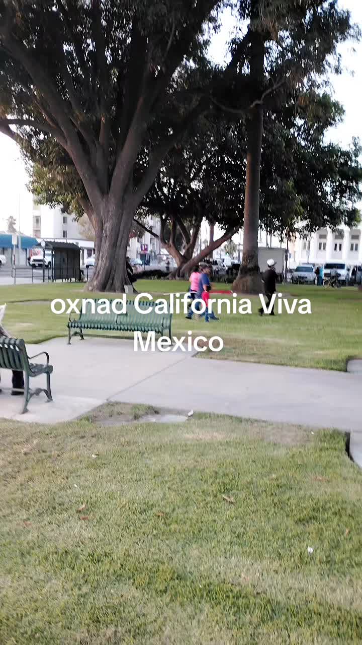 @jramos988tijuana