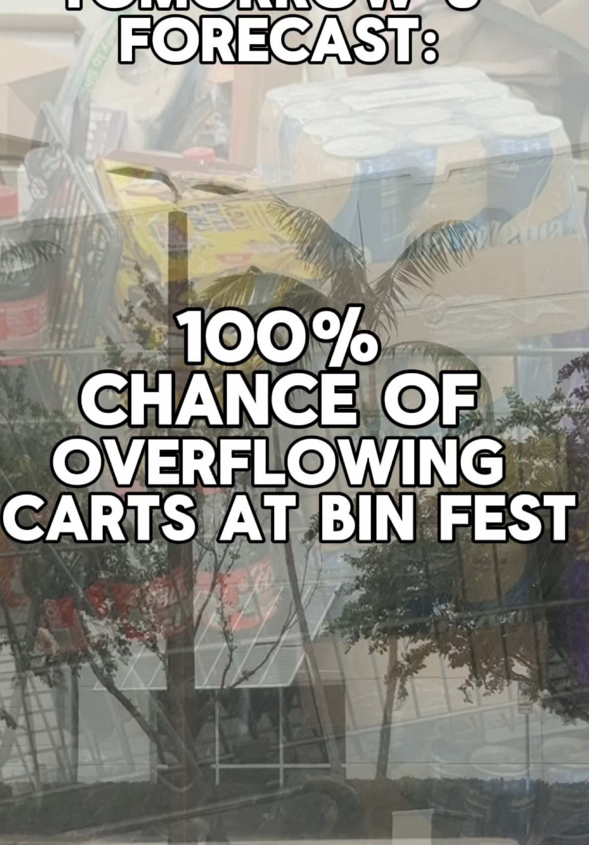 @Binfest