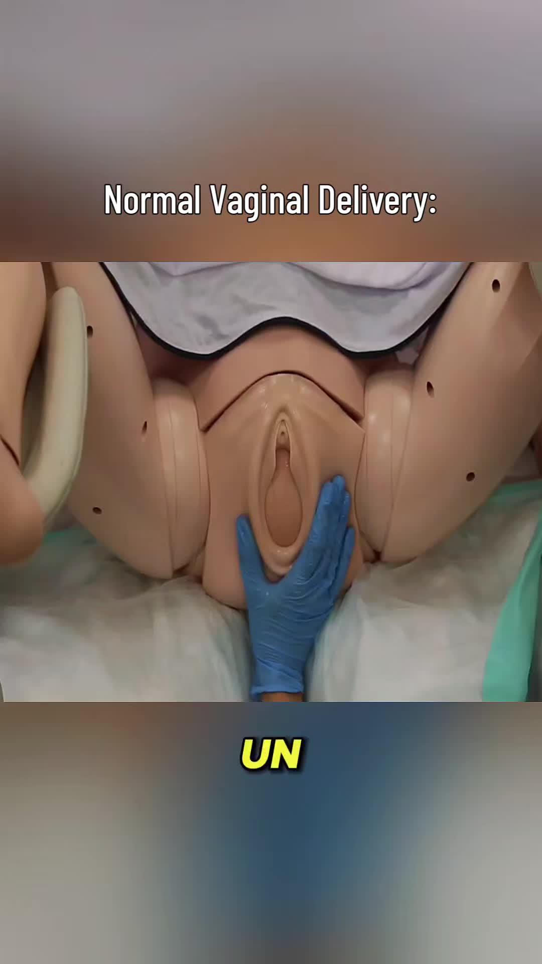 @Femniverse