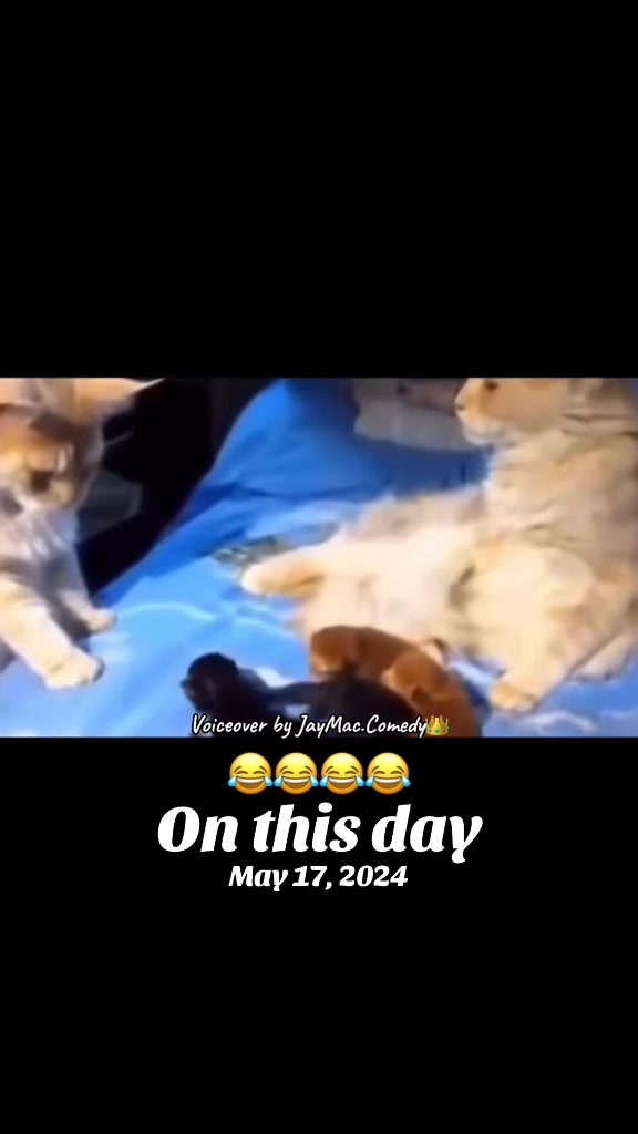 @JayMacComedy