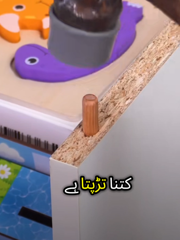 @𝑴𝒖𝒉𝒂𝒎𝒎𝒂𝒅 𝑺𝒉𝒐𝒂𝒊𝒃