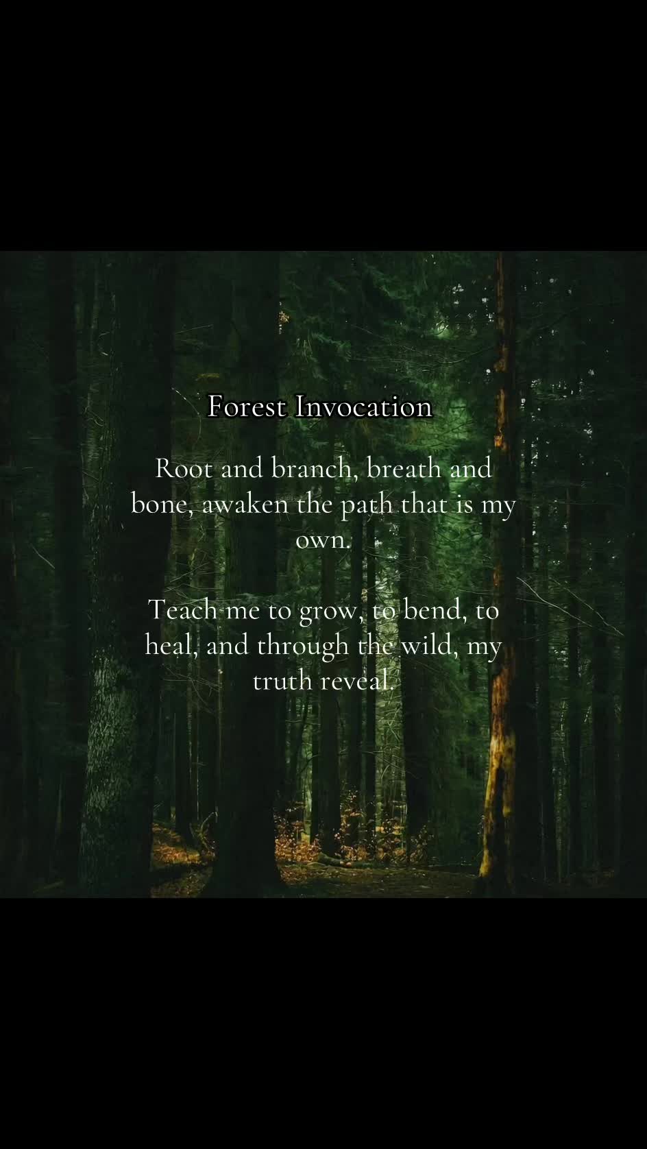 @Jasmin | A Rooted Life