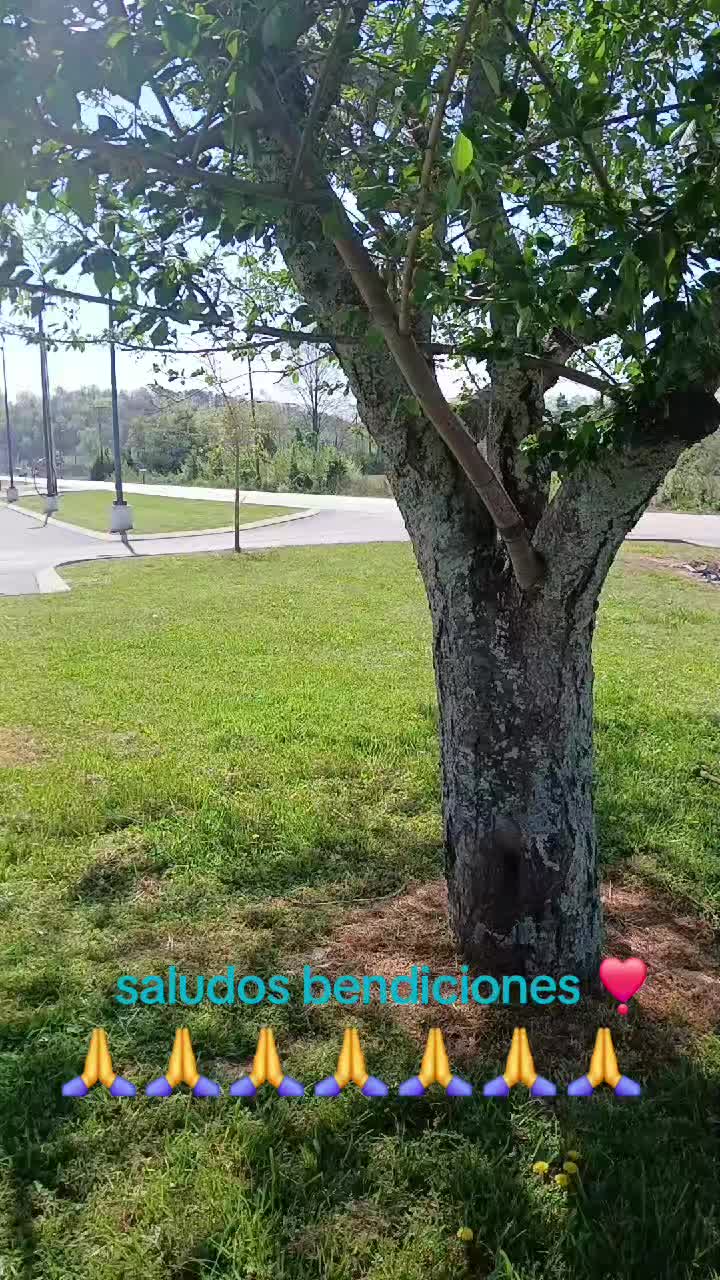 @EDWIN AMILCAR