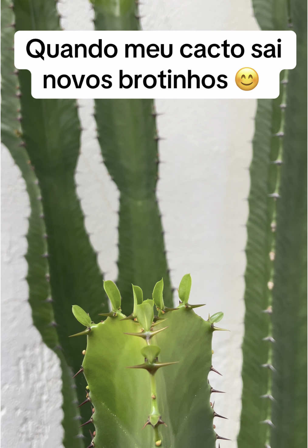 @Patr&iacute;cia Viana