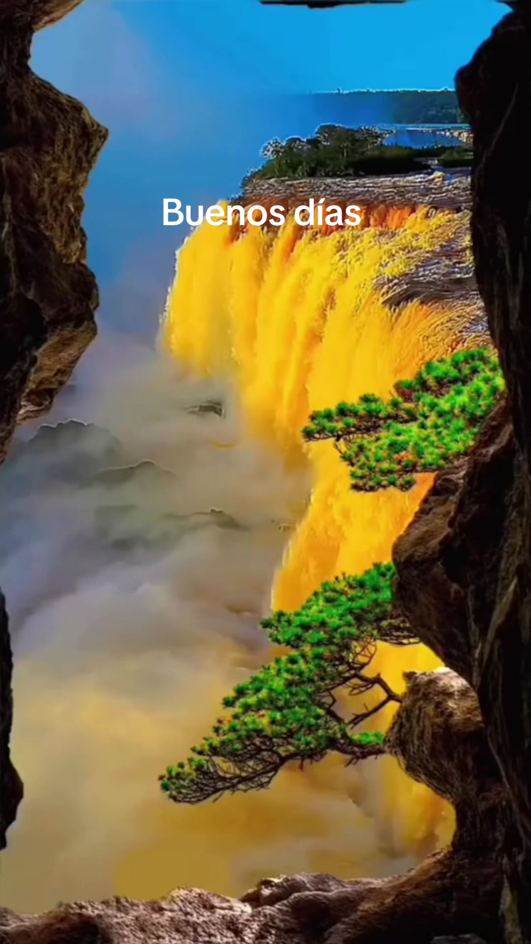 @Silvia Antonio