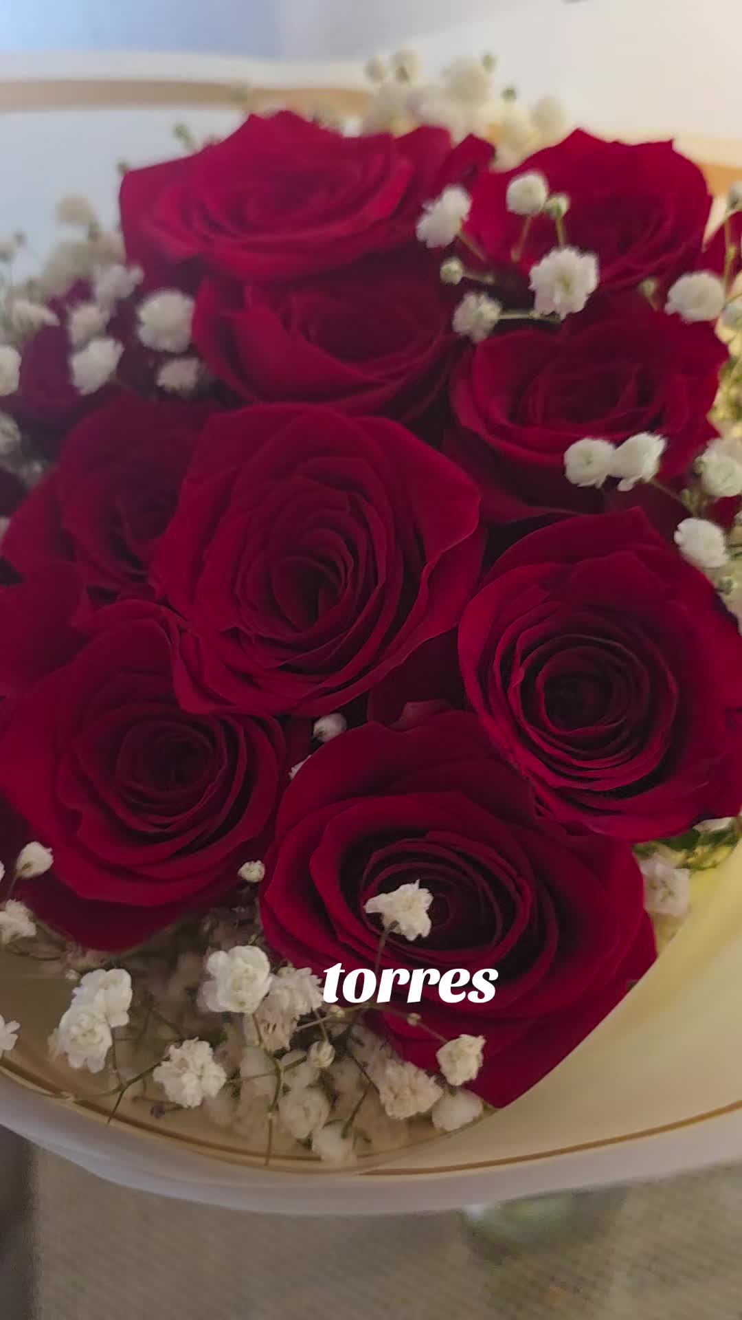 @Estela Torres