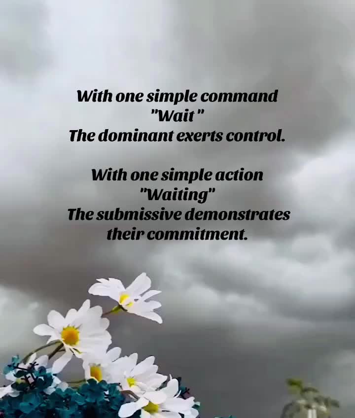 @🖤