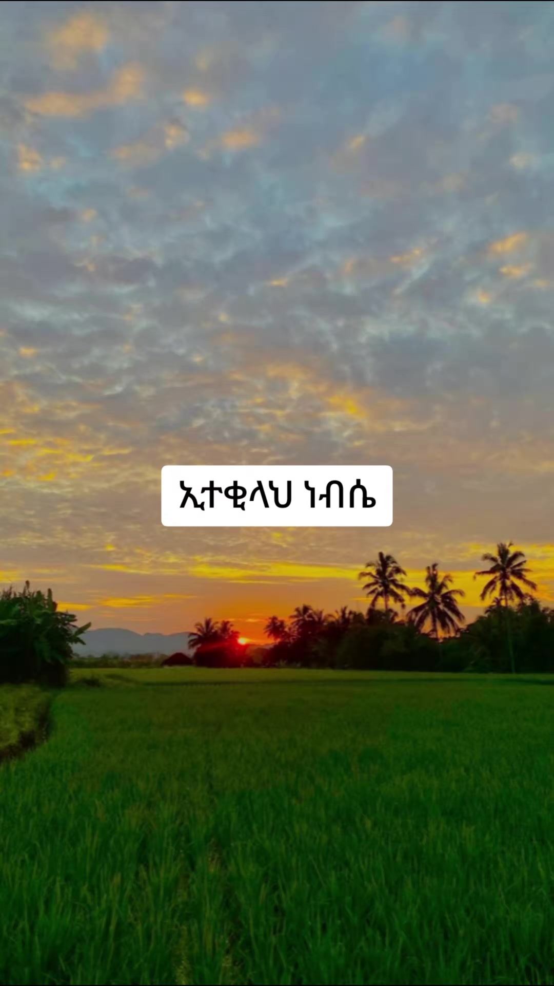@ኢተቂሏህ ነብሴ 1الله كريم🕊🤍Ⓜ