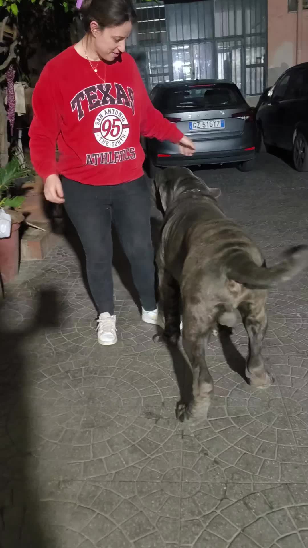 @fortunaserra
