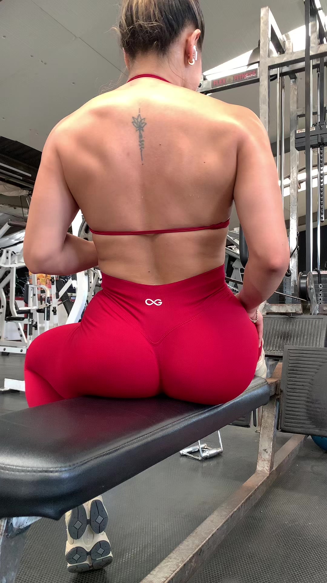 @José Luis