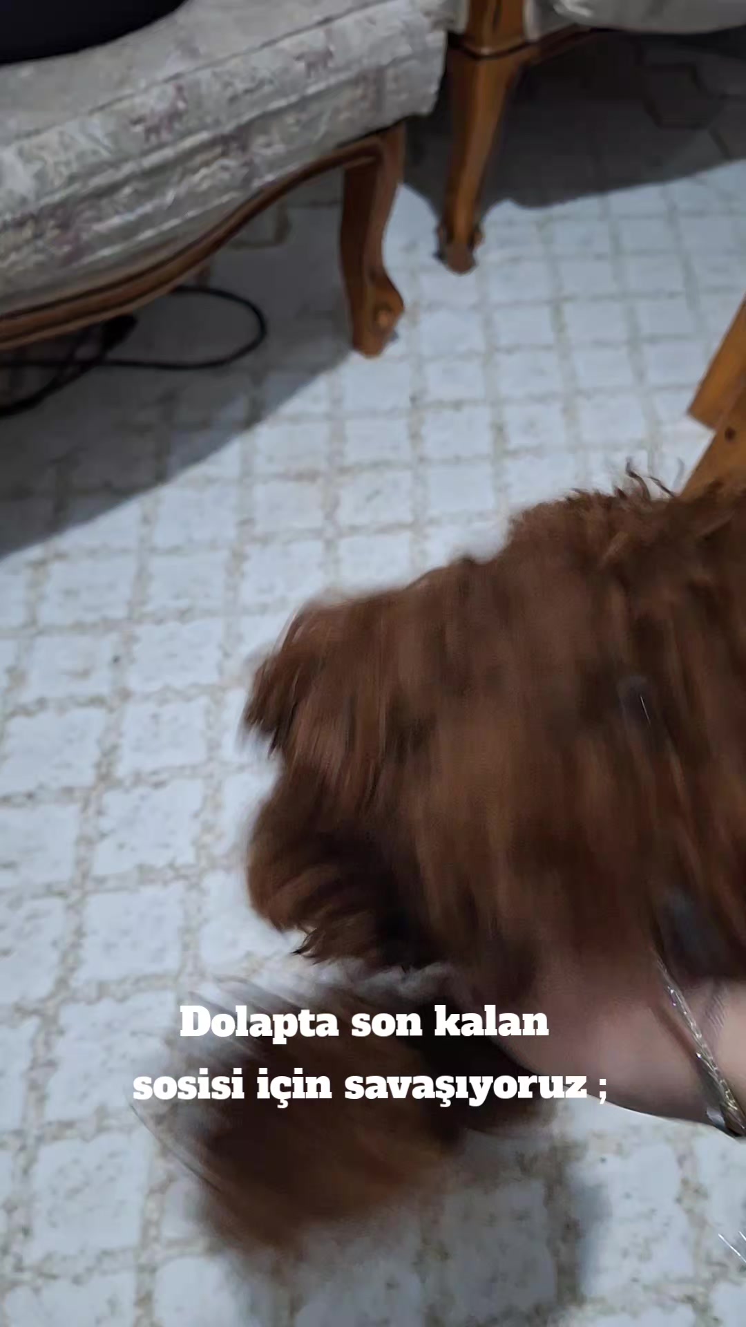 @_𝓶𝓻𝓿.𝓪𝔂_