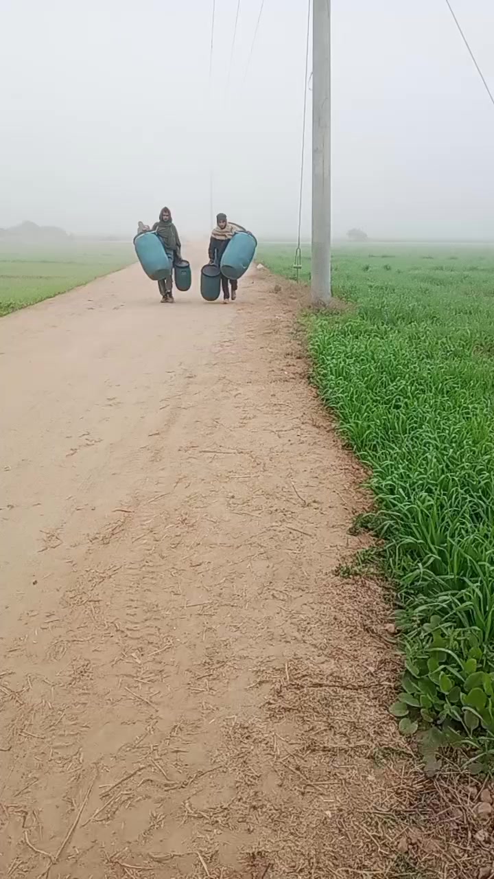 @sana8888