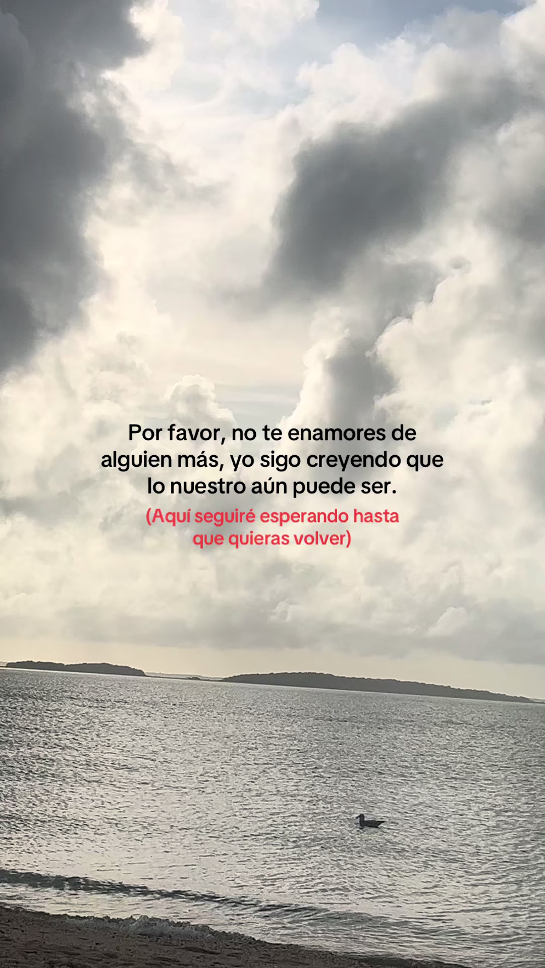 @Xavi