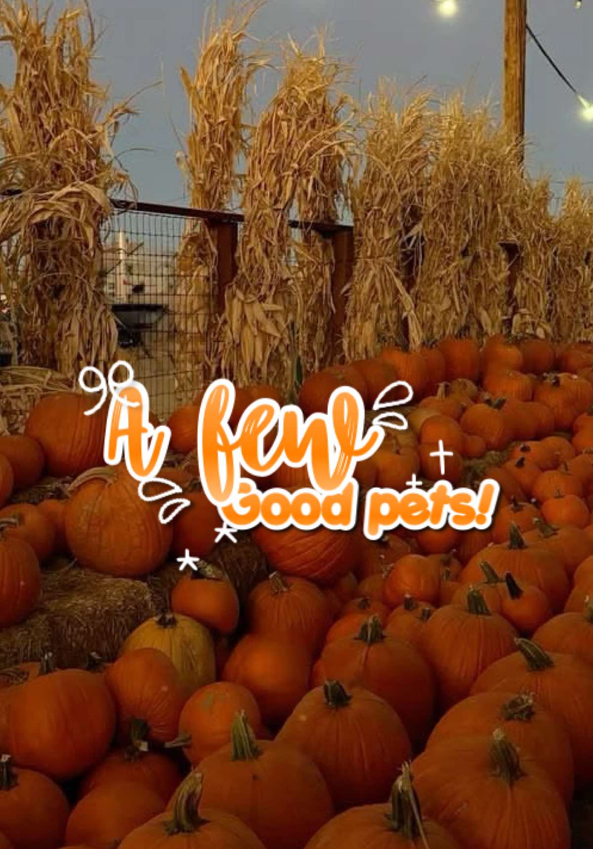 @˗ˏˋ🎃кєηzιє