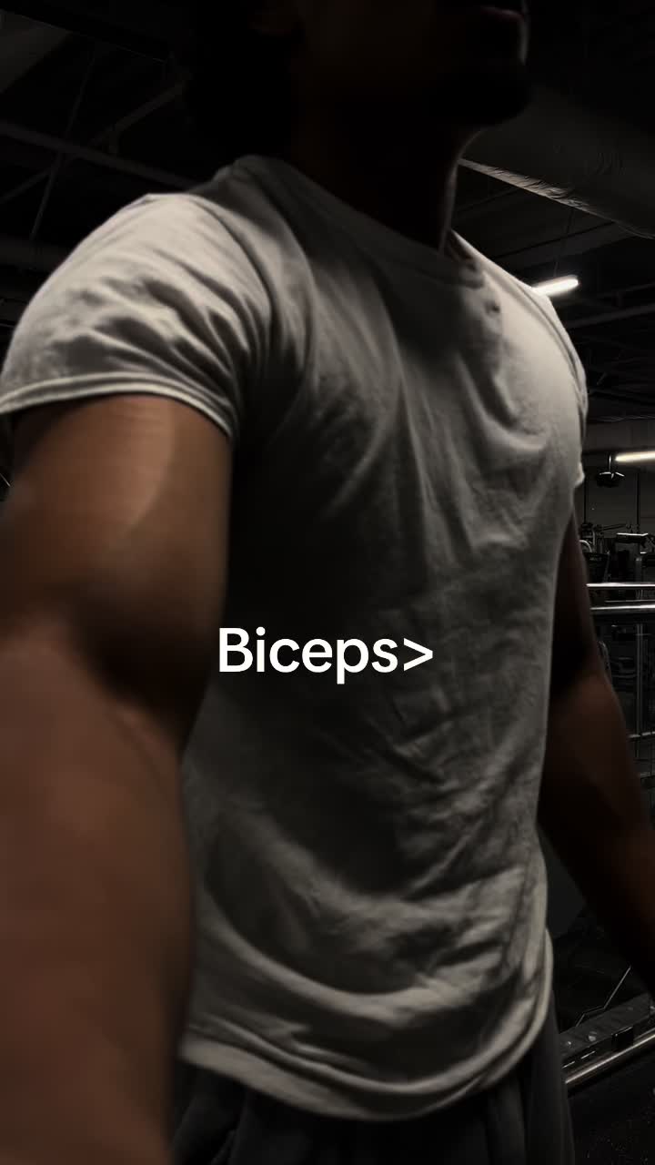 @__zamann__