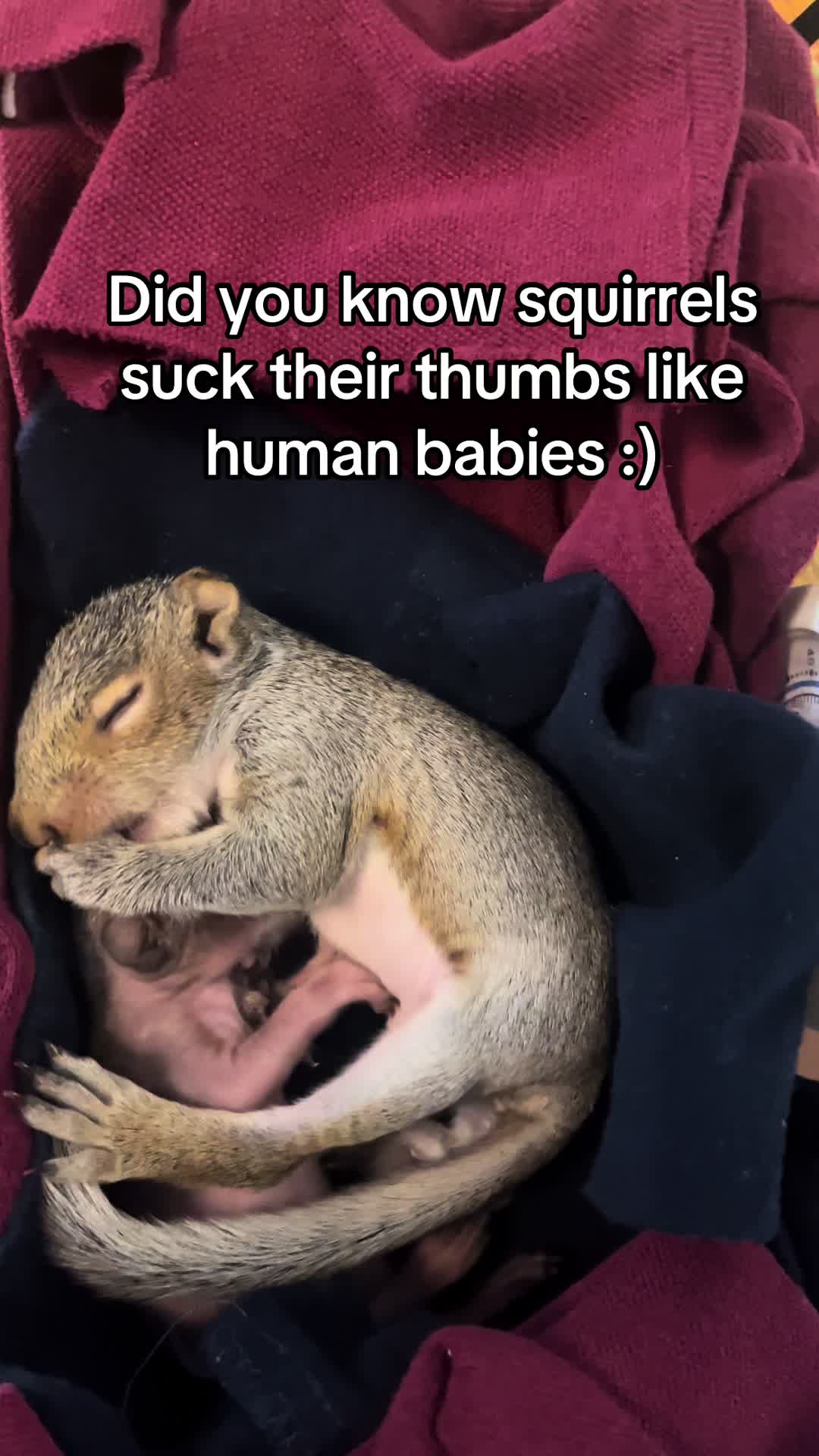@badmoodrude
