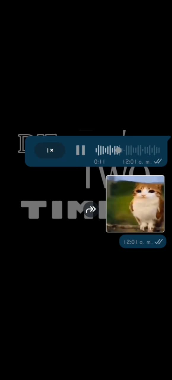 @๐ต โง โหโ ๐จ๐๐๐๐๐ โฎโห