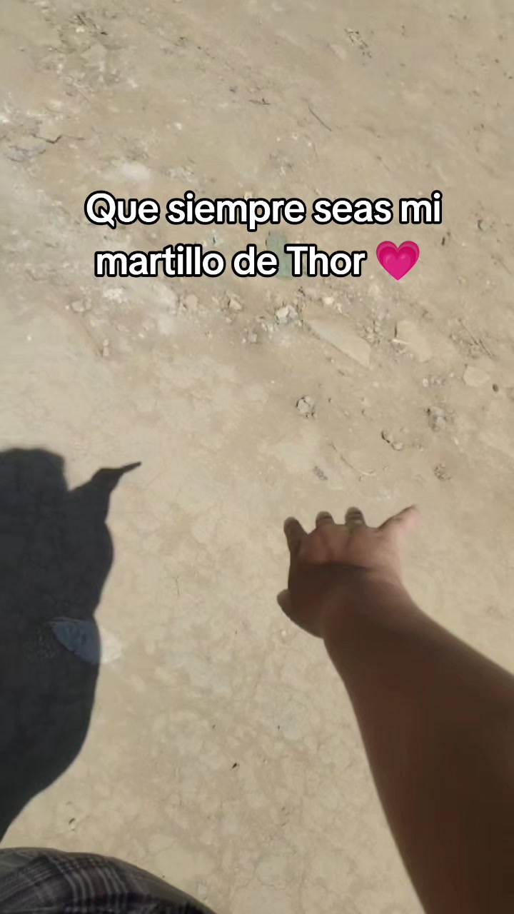 @Dulce lima