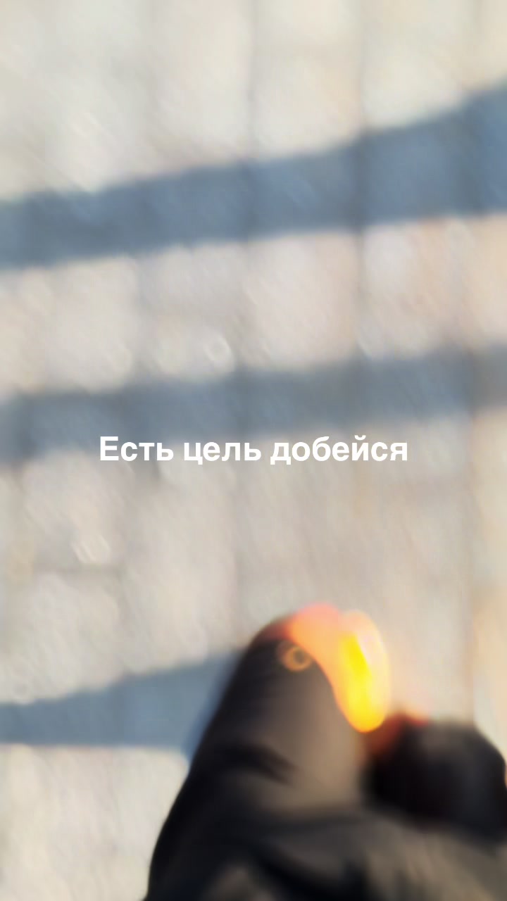 @donalexandrwin