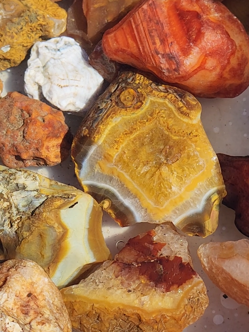 @Agate Magnet