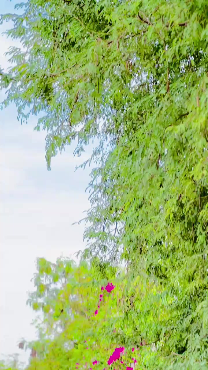 @JOKHIO.88
