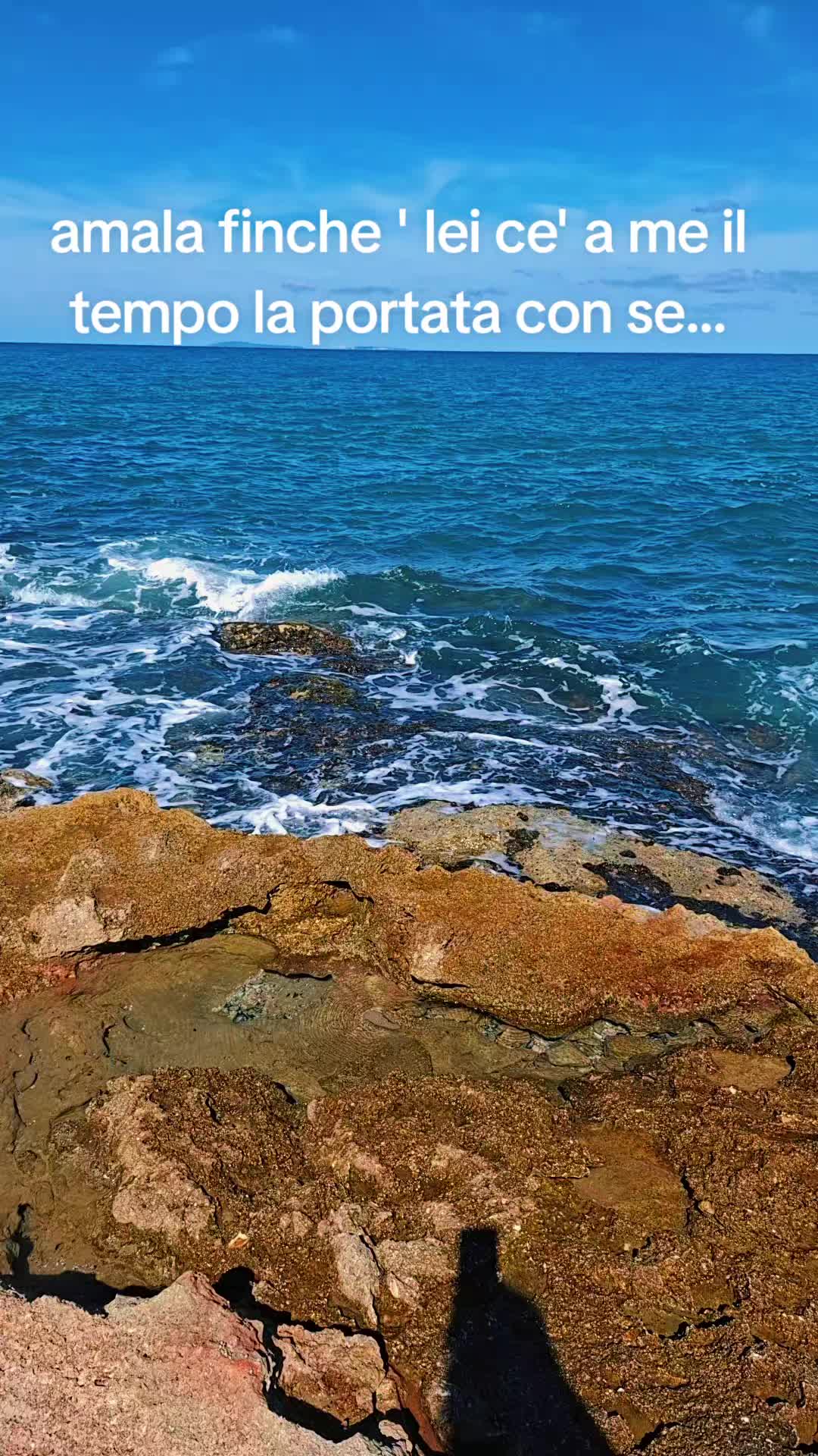 @animaimpavida.💙🗯🗯