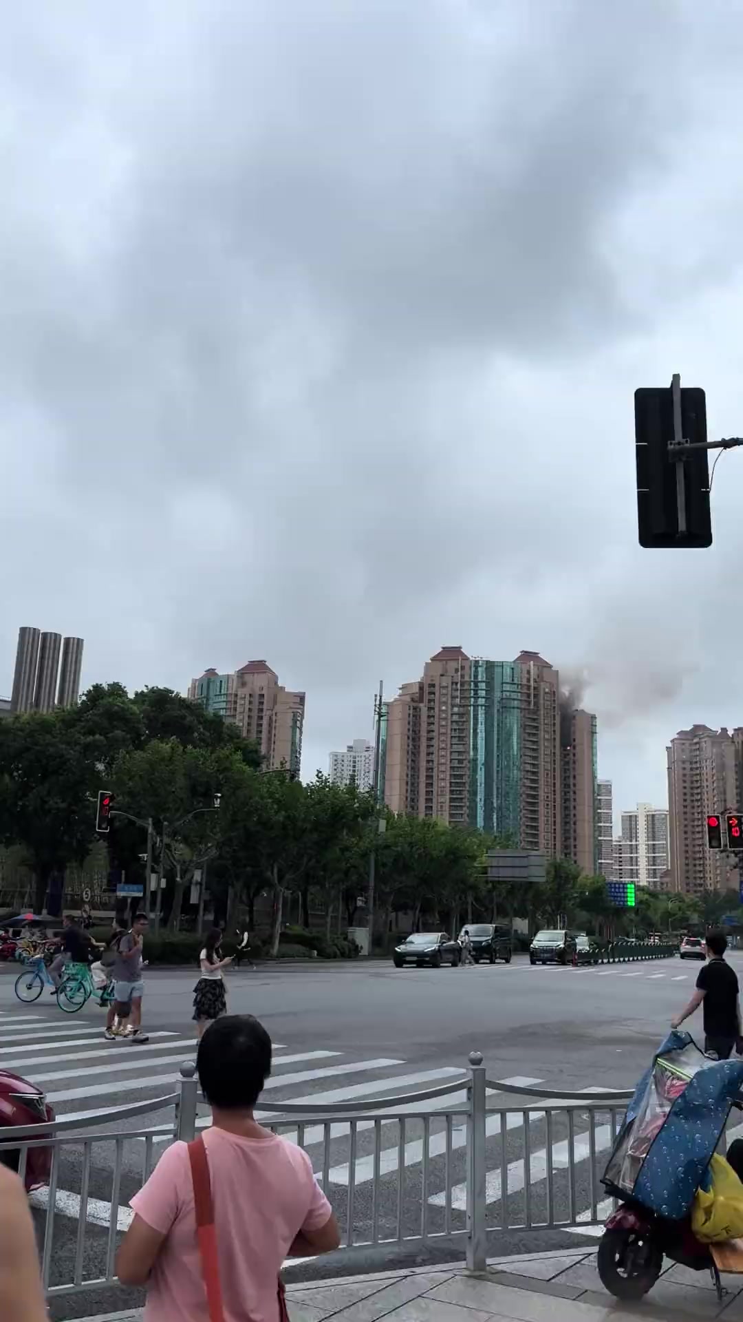 @陈实 🌊
