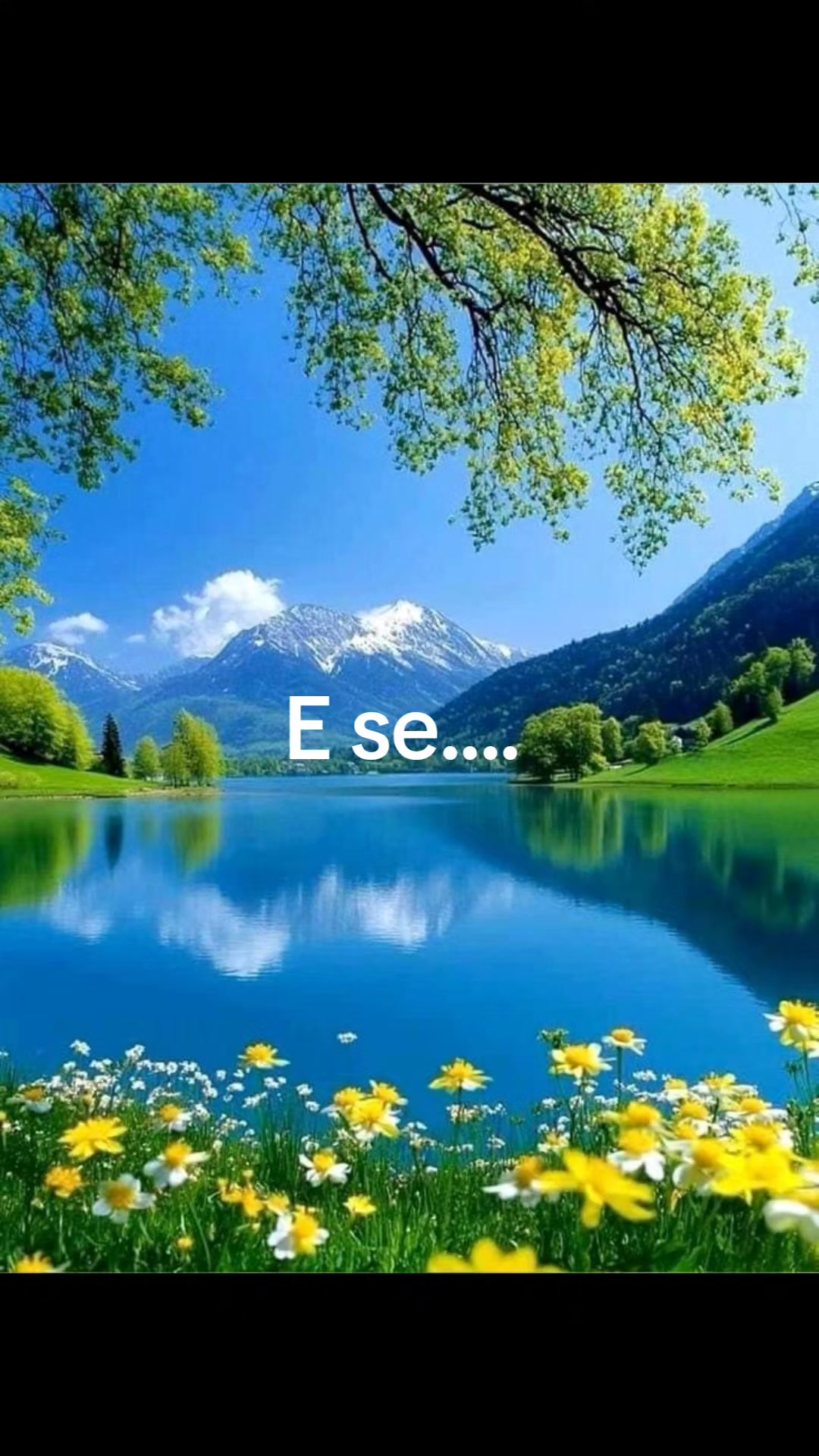 @Cassiadamatac Cassia