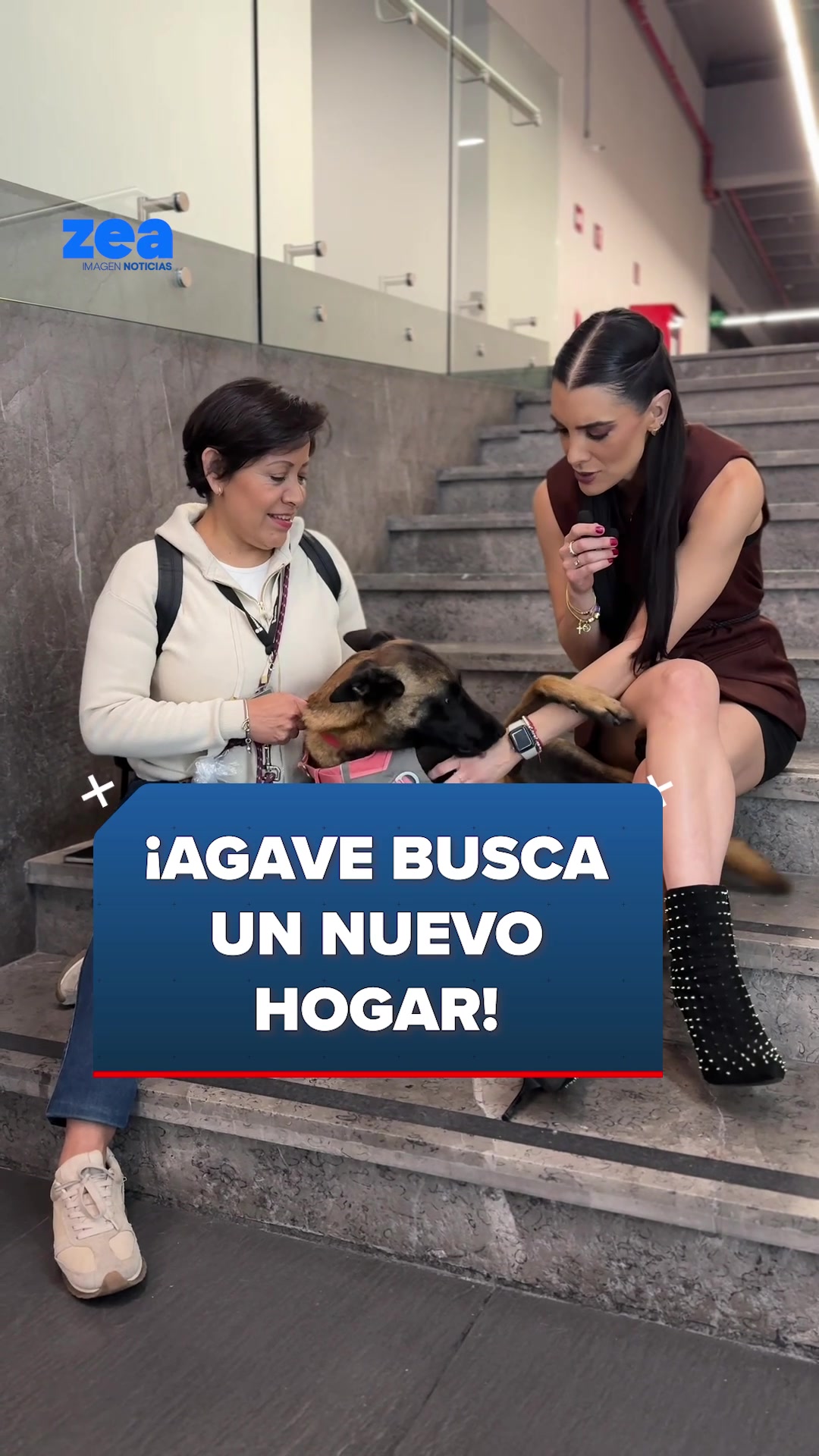 @Imagen Televisión