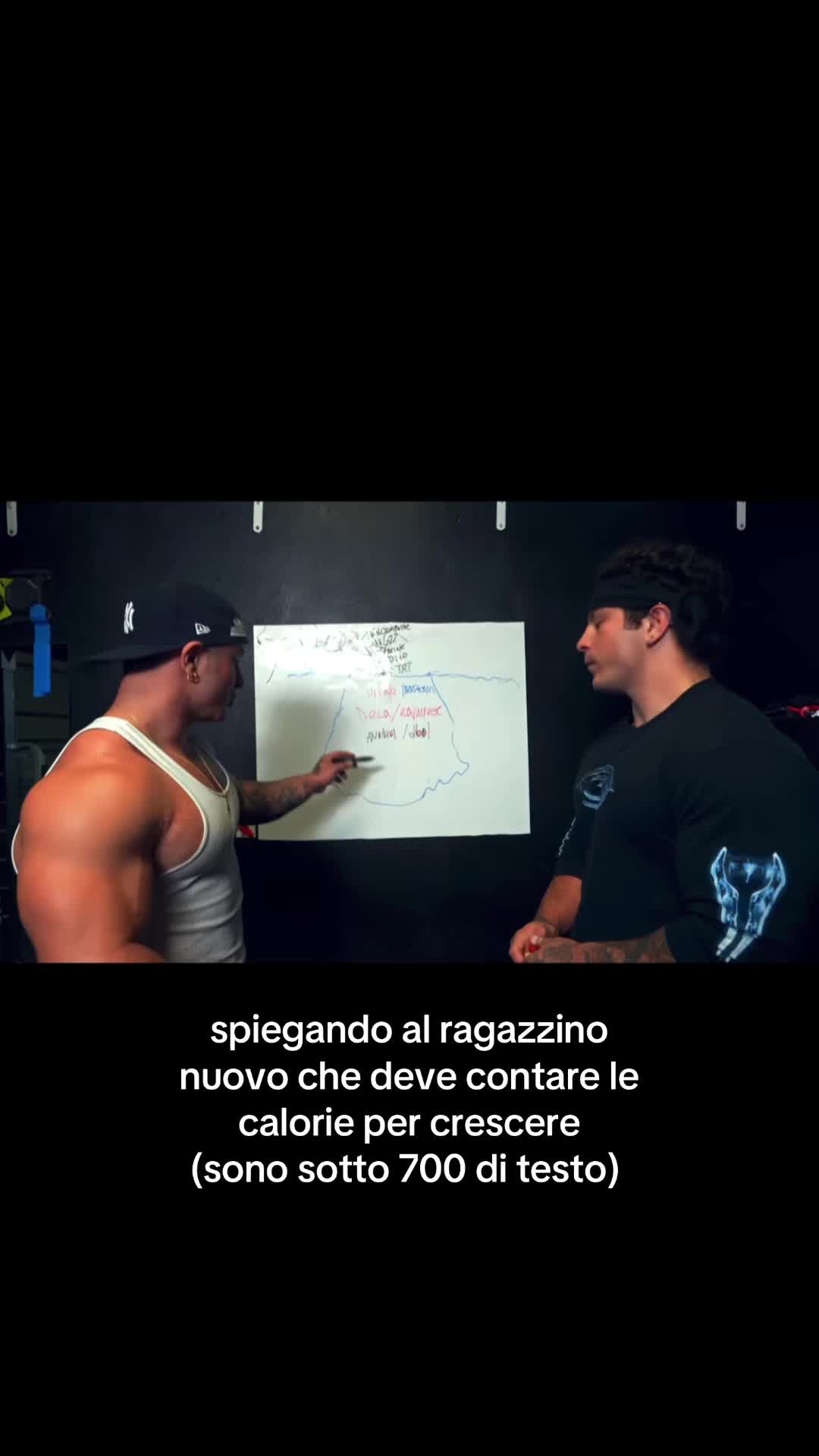 @cesiliftss